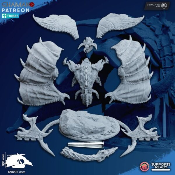 Raptoratrix - Image 5