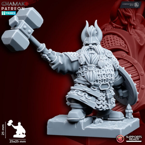 Clan Warriors Weapon & Shield - Image 4