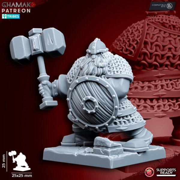 Clan Warriors Weapon & Shield - Image 9