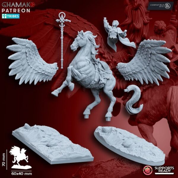 Sunev Wizard on Pegasus - Image 2