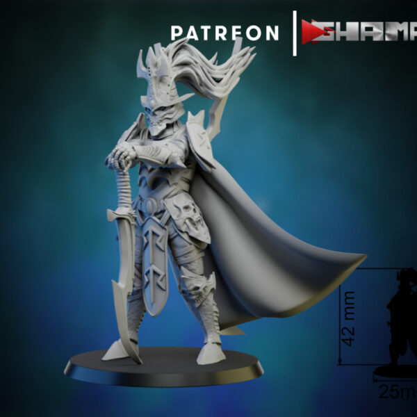Dark elves lord