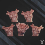 Comet Screamers Squad - Image 3