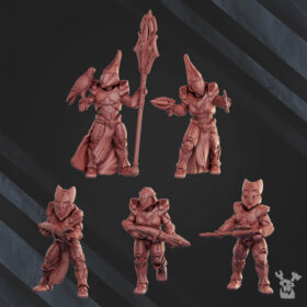 Star Alves Operational Team