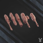 Star Cobra Squadron - Image 5