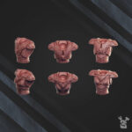 Super Nova Spear Riders - Image 3