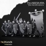 Skeletal Guard with hand waepons and shelds - Image 3