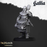 Gallia Men at Arms - Image 4
