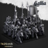 Royal Knights of Gallia