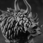Snutgarr - Image 4