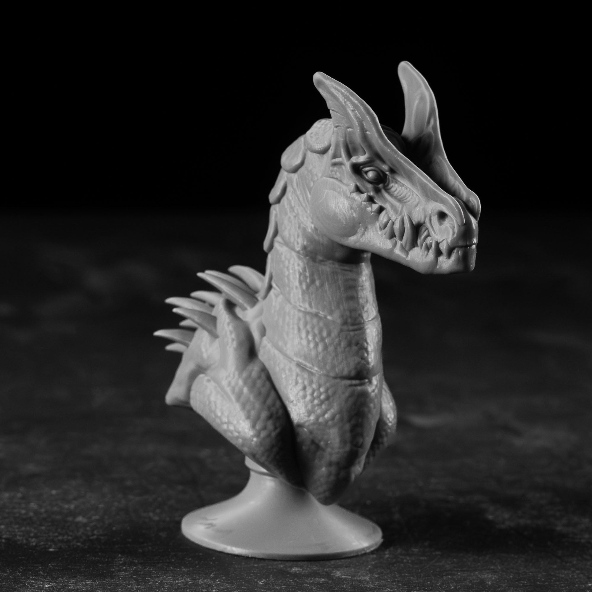 _DSC6803 Razorwyvern - Image 1